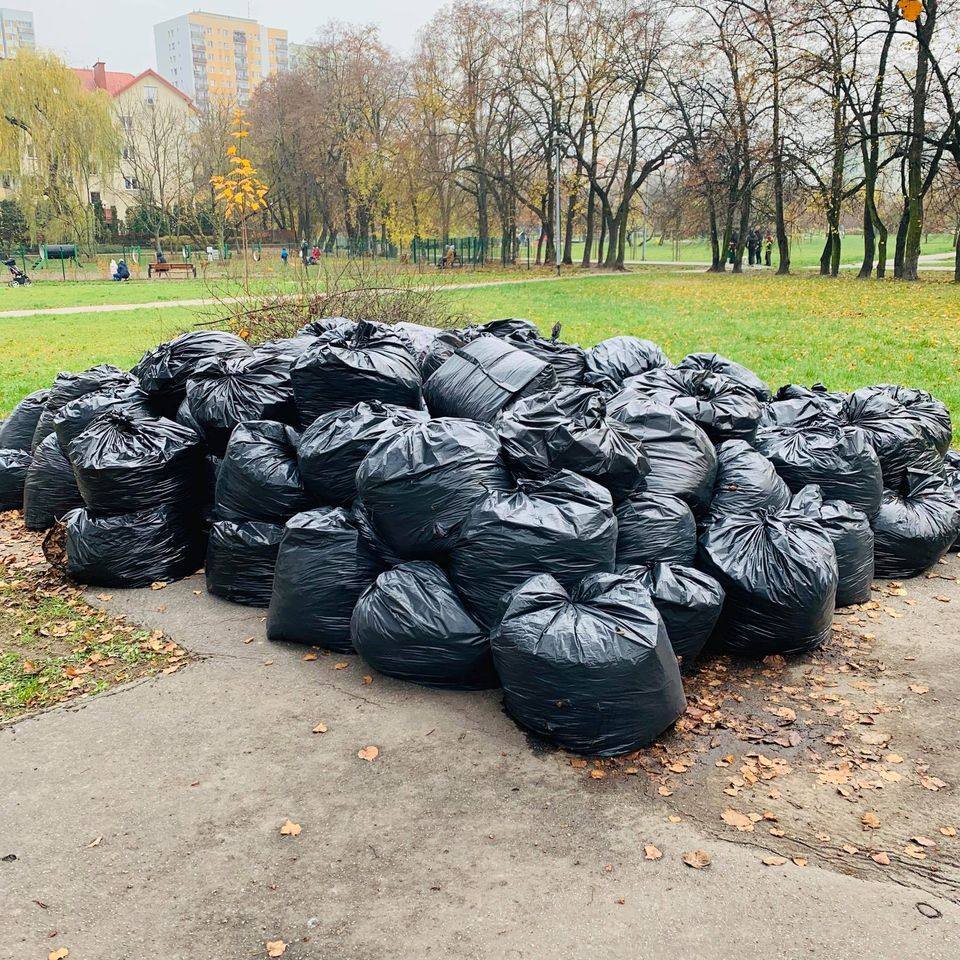 „Nie uważacie, że grabienie liści i pakowanie ich w foliowe worki pozbawione jest często sensu❓❓”