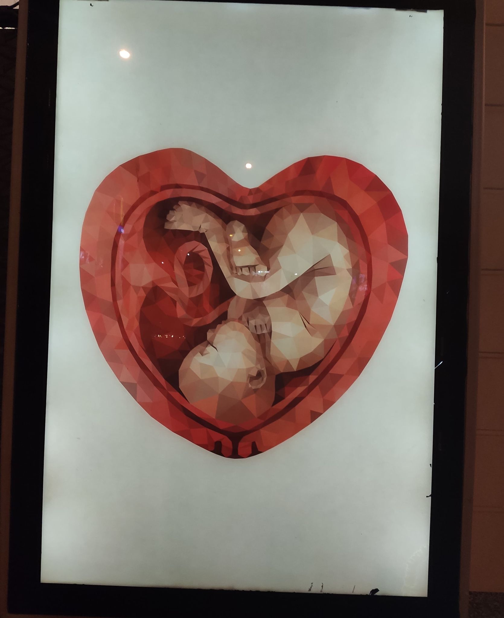 O co chodzi z kampanią prolife? Czy rzeczywiście jest prolife?