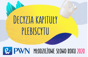 WYBORY, KTÓRE SIĘ NIE ODBYŁY