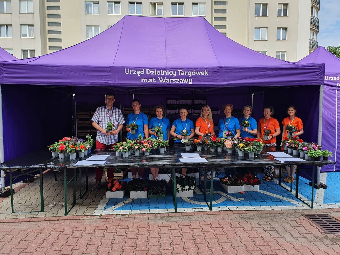 U. Dz. Targówek rozdaje sadzonki zajmując miejsca parkingowe, w tym dla osób niepełnosprawnych