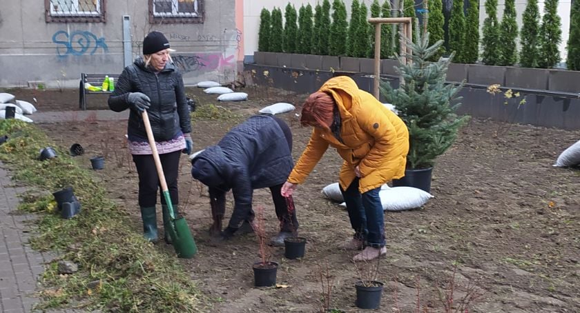 Dzielnica Ochota funduje i organizuje akcję sadzenia drzew, krzewów i kwiatów.