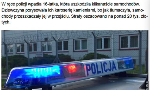Brawo patologiczny „aktyw”. Nastolatka wymierzyła karę właścicielom aut