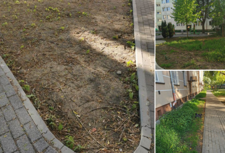 Kolejny „wspaniały” projekt z Budżetu Obywatelskiego….