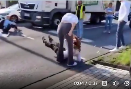 [VIDEO] Jak należy traktować ekoterrorystów z „Ostatniego Pokolenia”? Oto poradnik