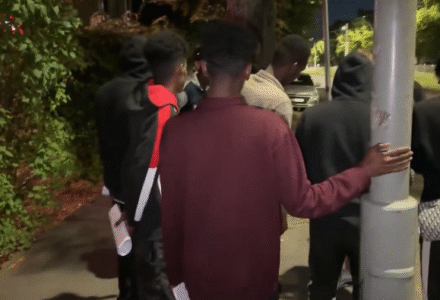 [VIDEO] Czy to już inwazja? Grupy migrantów szturmują niemiecko – polską granicę