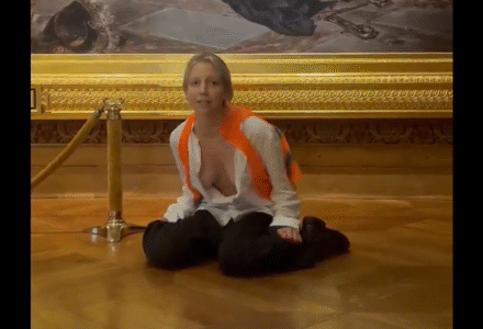 Pokazuje cycki i drze mordę – tak zachowuje się dzicz z Ostatniego Pokolenia na Zamku Królewskim