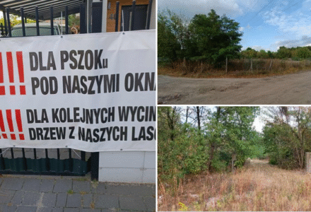 Mieszkańcy nie chcą śmierdzącej inwestycji, której już sama realizacja śmierdzi na odległość